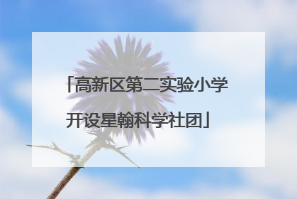 高新区第二实验小学开设星翰科学社团