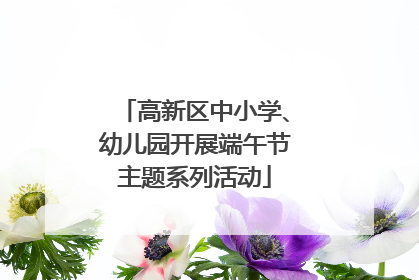 高新区中小学、幼儿园开展端午节主题系列活动