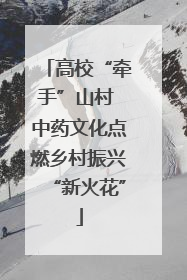 高校“牵手”山村 中药文化点燃乡村振兴“新火花”