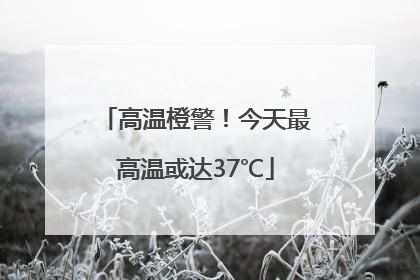 高温橙警！今天最高温或达37℃