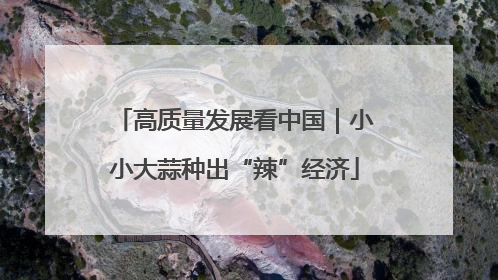 高质量发展看中国｜小小大蒜种出“辣”经济