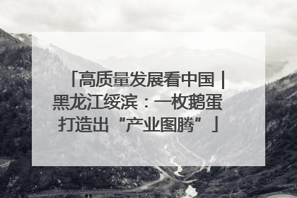 高质量发展看中国｜黑龙江绥滨：一枚鹅蛋打造出“产业图腾”