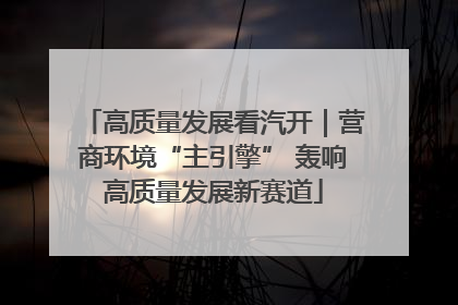 高质量发展看汽开｜营商环境“主引擎” 轰响高质量发展新赛道