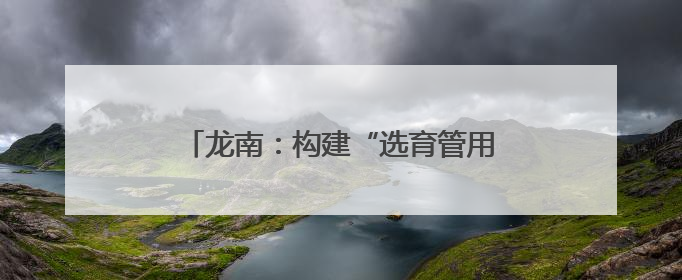 龙南：构建“选育管用”全链条闭环机制 激活社区治理“新引擎”