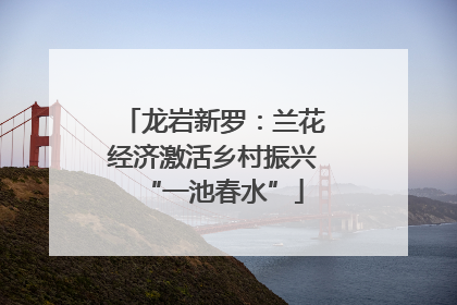 龙岩新罗：兰花经济激活乡村振兴“一池春水”
