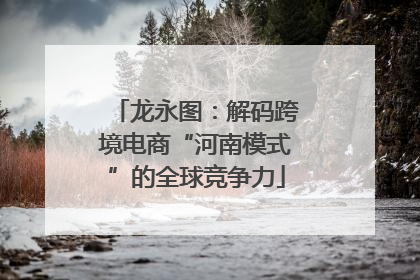 龙永图：解码跨境电商“河南模式”的全球竞争力