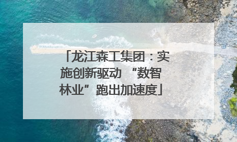 龙江森工集团：实施创新驱动 “数智林业”跑出加速度