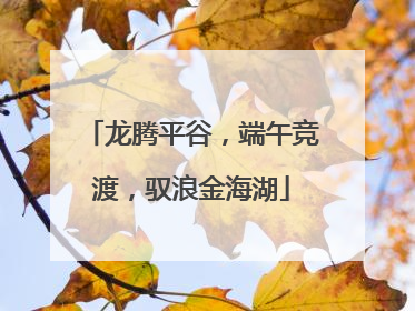 龙腾平谷，端午竞渡，驭浪金海湖