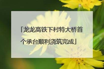 龙龙高铁下村特大桥首个承台顺利浇筑完成