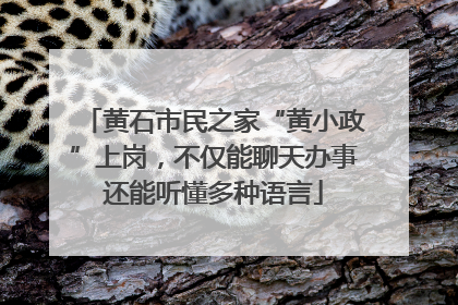 黄石市民之家“黄小政”上岗，不仅能聊天办事还能听懂多种语言