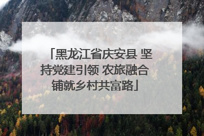 黑龙江省庆安县 坚持党建引领 农旅融合铺就乡村共富路