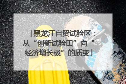 黑龙江自贸试验区：从“创新试验田”向“经济增长极”的质变