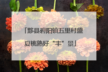 黟县碧阳镇五里村盛夏桃熟好“丰”景