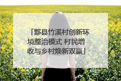黟县竹溪村创新环境整治模式 村民增收与乡村焕新双赢