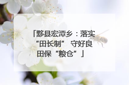 黟县宏潭乡：落实“田长制” 守好良田保“粮仓”