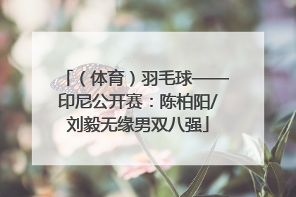 （体育）羽毛球——印尼公开赛：陈柏阳/刘毅无缘男双八强