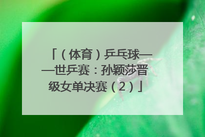 （体育）乒乓球——世乒赛：孙颖莎晋级女单决赛（2）