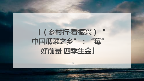 （乡村行·看振兴）“中国瓜菜之乡”：“莓”好前景 四季生金