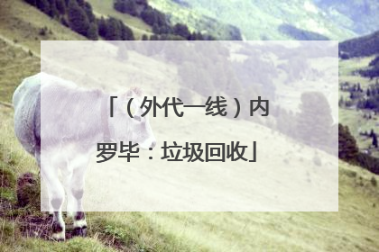 （外代一线）内罗毕：垃圾回收