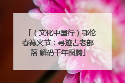 （文化中国行）鄂伦春篝火节：寻迹古老部落 解码千年图腾