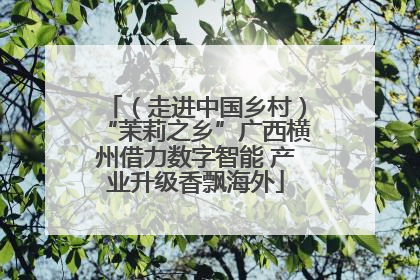 （走进中国乡村）“茉莉之乡”广西横州借力数字智能 产业升级香飘海外