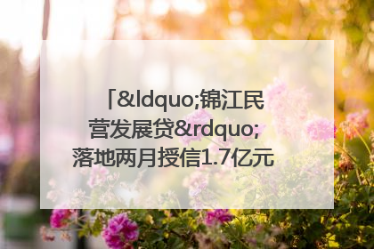 “锦江民营发展贷”落地两月授信1.7亿元，惠及118家民企
