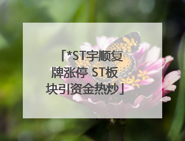 *ST宇顺复牌涨停 ST板块引资金热炒