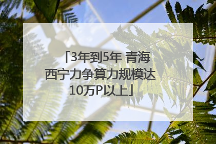 3年到5年 青海西宁力争算力规模达10万P以上