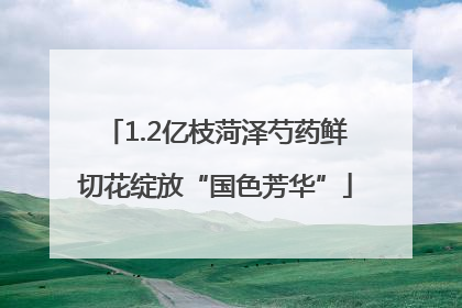 1.2亿枝菏泽芍药鲜切花绽放“国色芳华”