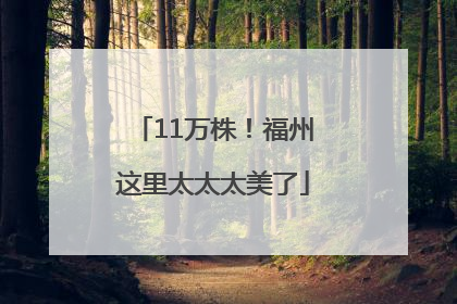 11万株！福州这里太太太美了
