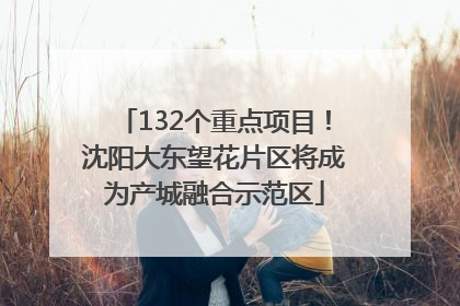 132个重点项目！沈阳大东望花片区将成为产城融合示范区