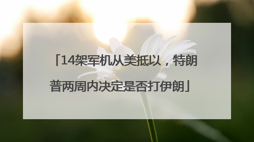 14架军机从美抵以，特朗普两周内决定是否打伊朗