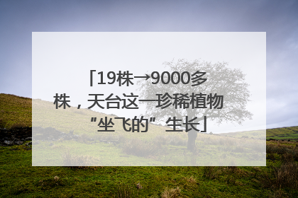 19株→9000多株，天台这一珍稀植物“坐飞的”生长