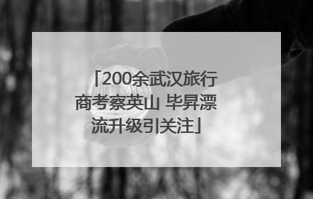 200余武汉旅行商考察英山 毕昇漂流升级引关注