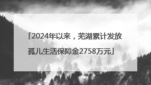 2024年以来，芜湖累计发放孤儿生活保障金2758万元