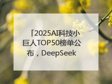 2025AI科技小巨人TOP50榜单公布，DeepSeek、宇树科技、蘑菇车联等企业荣誉上榜