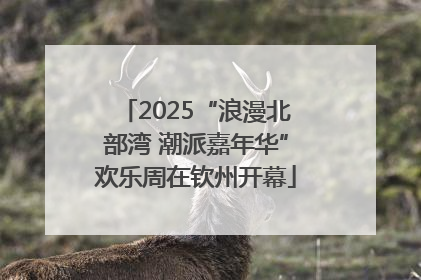 2025“浪漫北部湾 潮派嘉年华”欢乐周在钦州开幕