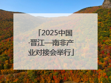 2025中国·晋江—南非产业对接会举行