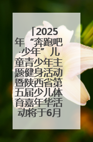 2025年“奔跑吧·少年”儿童青少年主题健身活动暨陕西省第五届少儿体育嘉年华活动将于6月14日正式举办