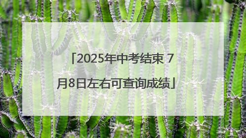 2025年中考结束 7月8日左右可查询成绩