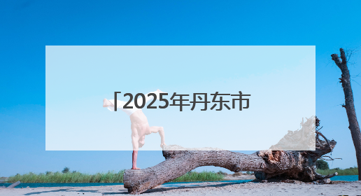 2025年丹东市“青年马克思主义者培养工程”暨团干部培训班开班