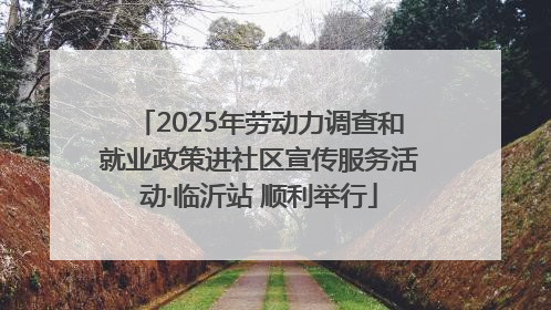 2025年劳动力调查和就业政策进社区宣传服务活动·临沂站 顺利举行