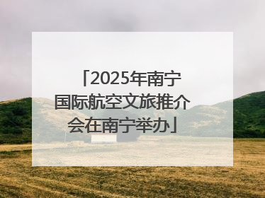 2025年南宁国际航空文旅推介会在南宁举办