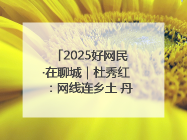 2025好网民·在聊城｜杜秀红：网线连乡土 丹心映桑梓