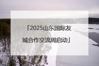 2025山东国际友城合作交流周启动