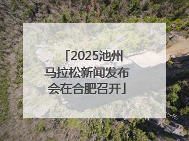 2025池州马拉松新闻发布会在合肥召开