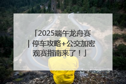 2025端午龙舟赛｜停车攻略+公交加密 观赛指南来了！