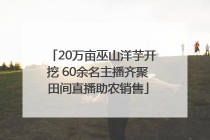 20万亩巫山洋芋开挖 60余名主播齐聚田间直播助农销售