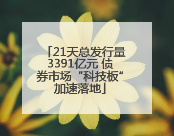 21天总发行量3391亿元 债券市场“科技板”加速落地