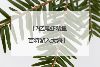 2亿尾虾蟹鱼苗将游入大海